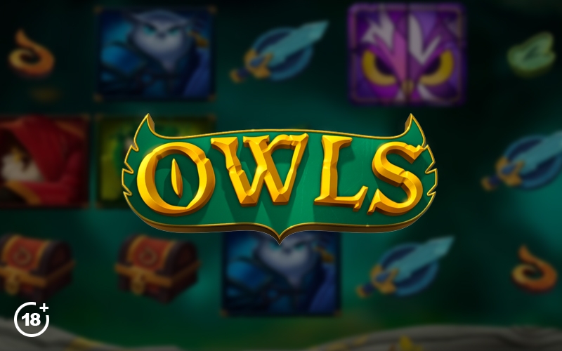 Owls