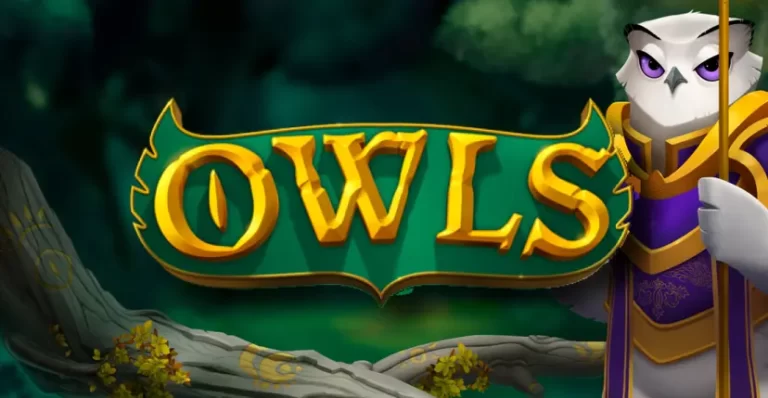 Owls